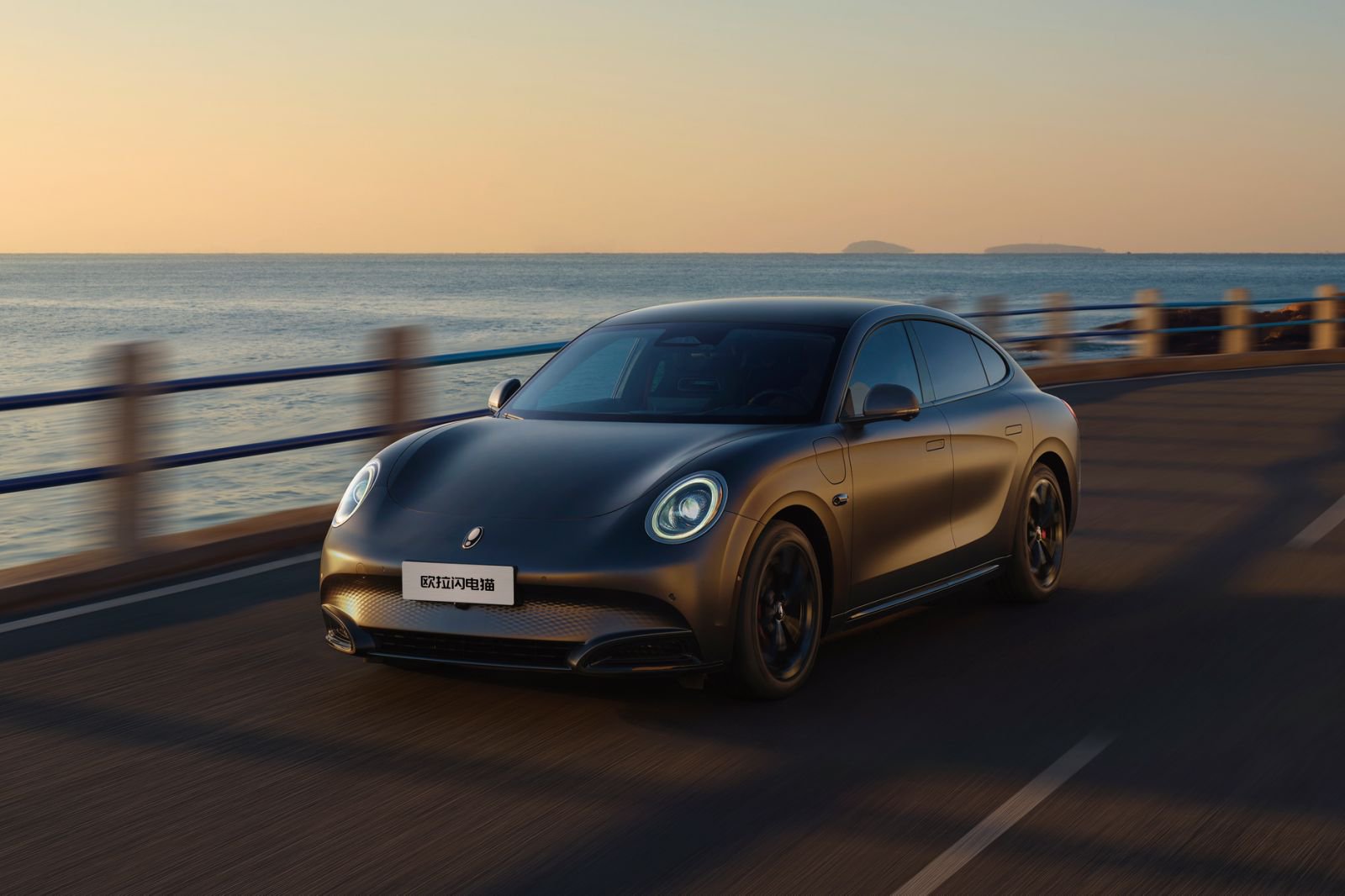 歐拉閃電(diàn)貓